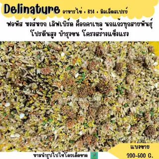 Delinature อาหารไข่ เสริมทั้งแม่และลูก (200-500G.) อาหารนก อาหารเเสริม สำหรับนกแก้วขนาดเล็ก-กลาง