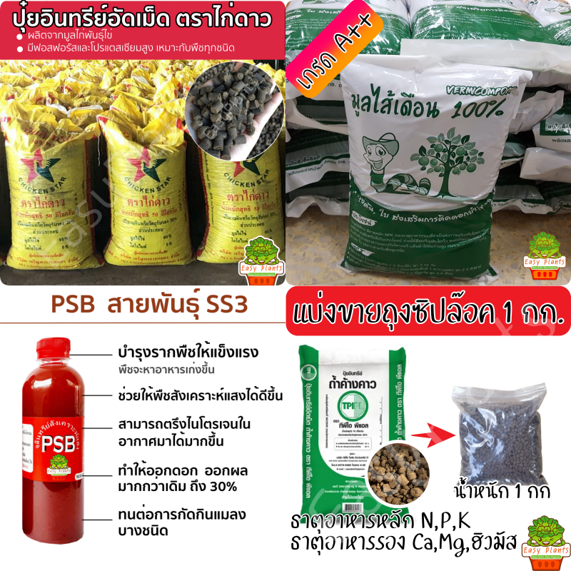 ปุ๋ยอินทรีย์ มูลไก่อัดเม็ด TPI อินทรีย์อัดเม็ด PSB จุลินทรีย์สังเคราะห์แสง มูลไส้เดือน แบ่งขาย