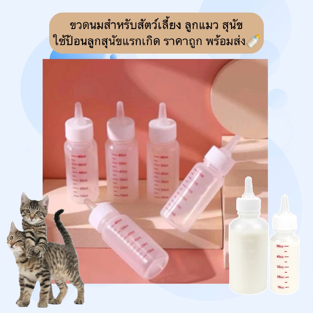 MG-1206 ขวดนมสำหรับลูกสัตว์เลี้ยง ลูกแมว ลูกสุนัขแรกเกิด ปลอดภัย ใช้งานง่าย ราคาย่อมเยา พร้อมส่ง 🍼