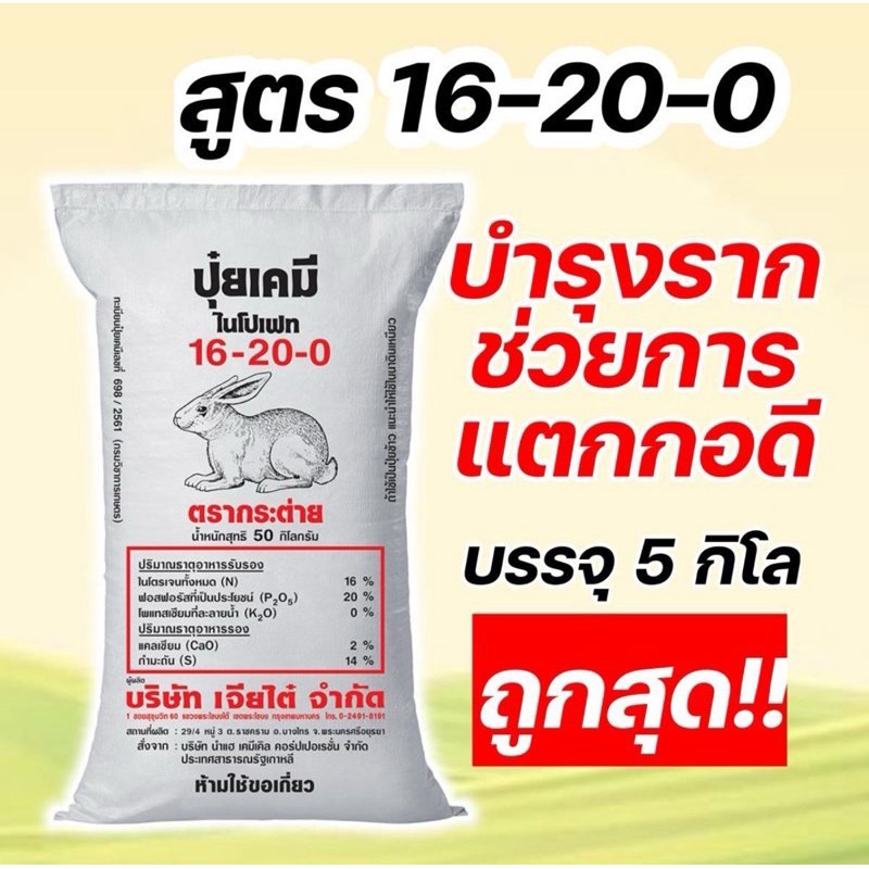 (5กิโล แบ่งขาย!) ปุ๋ยสูตร 16-20-0 กระต่าย แบ่งบรรจุ 5 กิโลกรัม