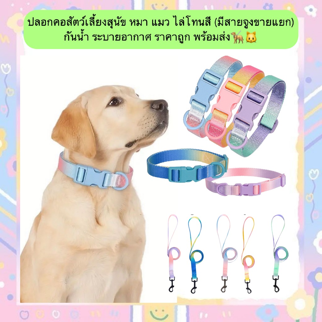 PP-1207 ปลอกคอสุนัข-แมว ไล่โทนสี กันน้ำ ระบายอากาศ ราคาถูก พร้อมส่ง🦮🐱