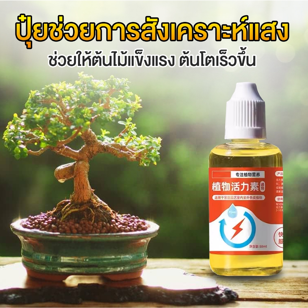ปุ๋ยน้ำขนาด 50 cc ช่วยต้นไม้สังเคราะห์แสงมากขึ้น ปุ๋ยหยด เร่งราก บำรุงต้น ปุ๋ยไม้ใบ ปุ๋ยไม้ดอก