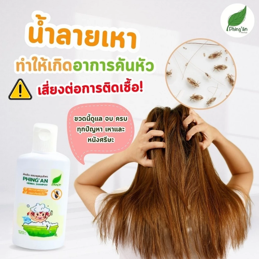 ผิงอัน เป็นแชมพูสมุนไพร กำจัดเหา ใช้ได้ทุกคนในครอบครัว ขนาด 60ml.