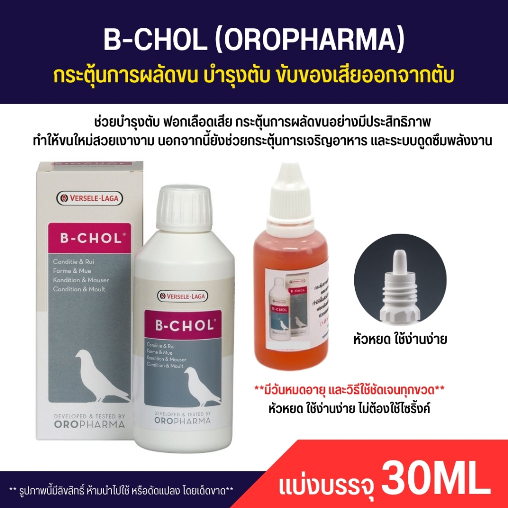 B-CHOL กระตุ้นการผลัดขน บำรุงตับ ขับของเสียออกจากตับ ลดอาการบอบช้ำ (แบ่ง 30ML)