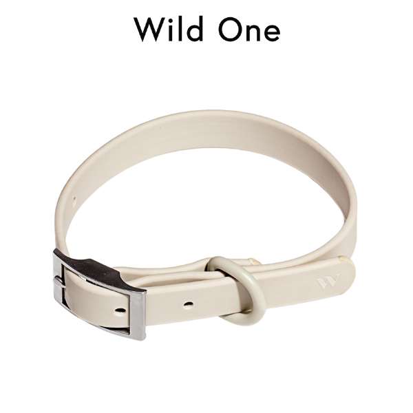 Wild One - Collar ปลอกคอสุนัข │ Gray 🩶
