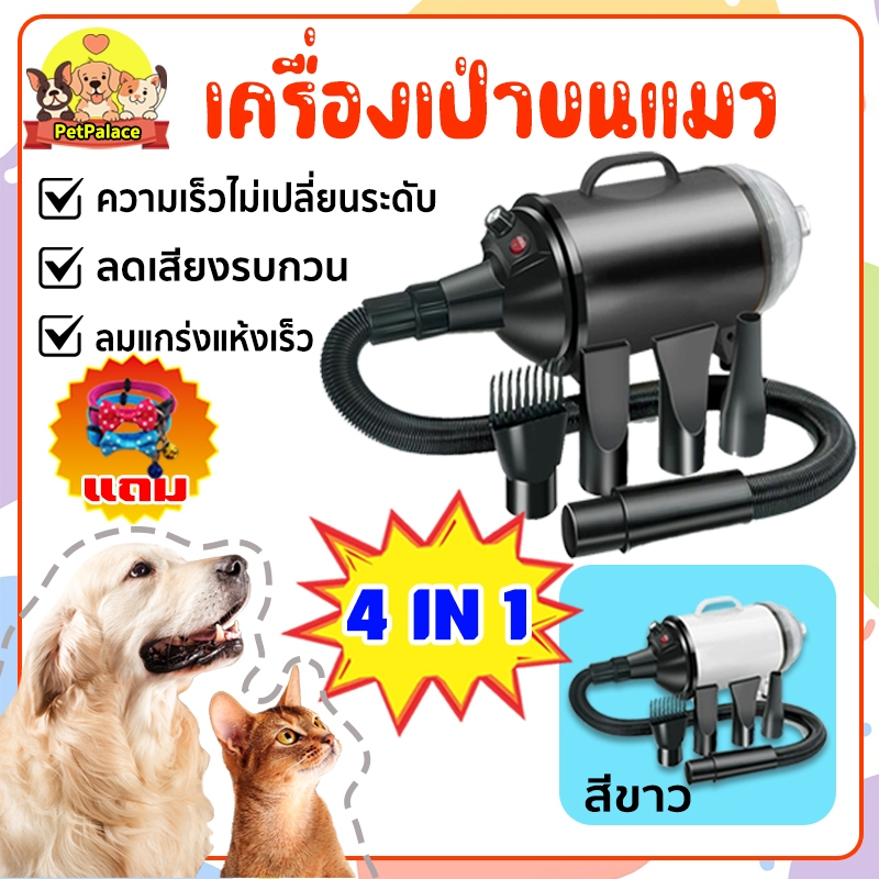 4IN1 เครื่องเป่าขนแมว ไดร์เป่าขนสัตว์ ไดร์ไล่น้ำ 2100W เสียงรบกวนต่ำ อุณหภูมิสองโหมด ไดร์เป่าขนสัตว์
