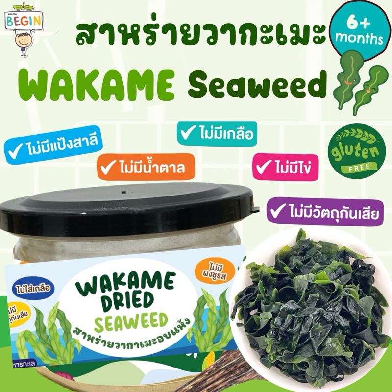 Begin สาหร่ายวากาเมะอบแห้ง ทำซุป ก๋วยเตี๋ยว สลัด ยำ นุ่ม อร่อย wakame seaweed อาหารเด็ก สาหร่ายเด็ก สาหร่ายอบแห้ง