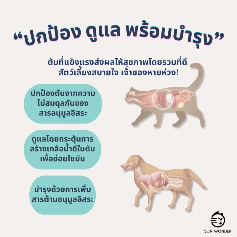 (1 กระปุก) SUN WONDER VITALITY PILL POCKET 15g. อาหารเสริมวิตามินช่วยป้อนยา บำรุงตับ ซ่อนยา สุนัข แมว - รูปที่ 5