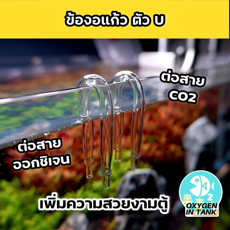 ข้องอแก้ว รูปตัว U ขนาด 10 mm. สำหรับต่อสายออกซิเจน หรือสาย CO2 ในตู้ปลา ตู้ไม้น้ำ(พร้อมส่ง)