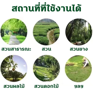 🪓การจัดส่งในประเทศไทย🪓ยาฆ่าหญ้า สารกําจัดกอไผ่ ใช้กำจัดวัชพืชได้ทุกชนิด ไม่เป็นอันตรายต่อคนและสัตว์เลี้ยง