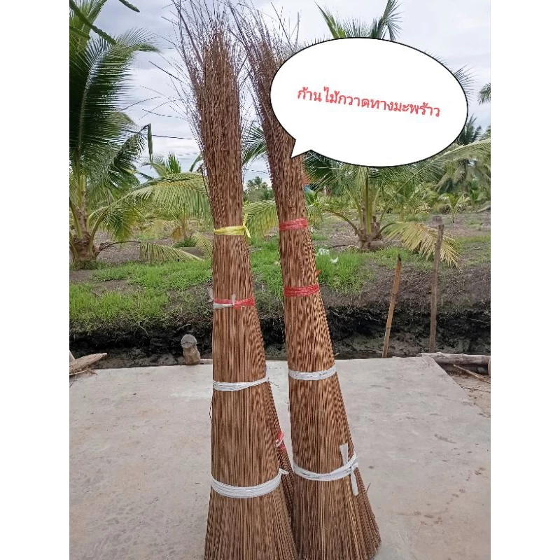 ก้านไม้กวาดทางมะพร้าวเหลาเกลี้ยง"คละขนาด 70-120 ซม."(มัดละ 5 กิโลกรัม)#ก้านไม้กวาดทางมะพร้าว#ก้านทางมะพร้าว