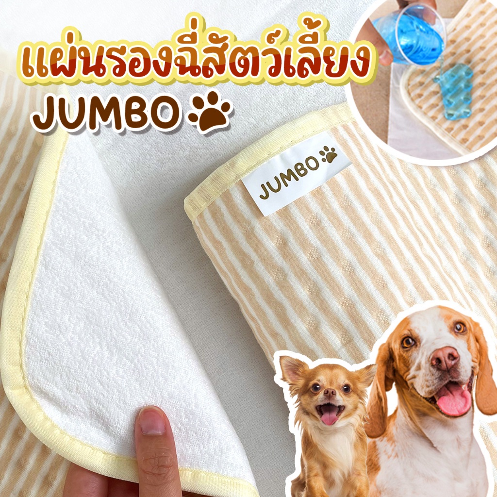 Jumbo แผ่นรองฉี่สุนัข แผ่นรองฉี่สัตว์เลี้ยง ผ้ารองฉี่สุนัข แบบซักได้ กลับมาใช้ซ้ำได้ ซึมซับได้ดี ไม่