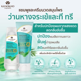 Khaokho Talaypu เขาค้อทะเลภู ครีมนวดผม สูตรว่านหางจระเข้และที ทรี ช่วยเติมความชุ่มชื่น (160 มล.)