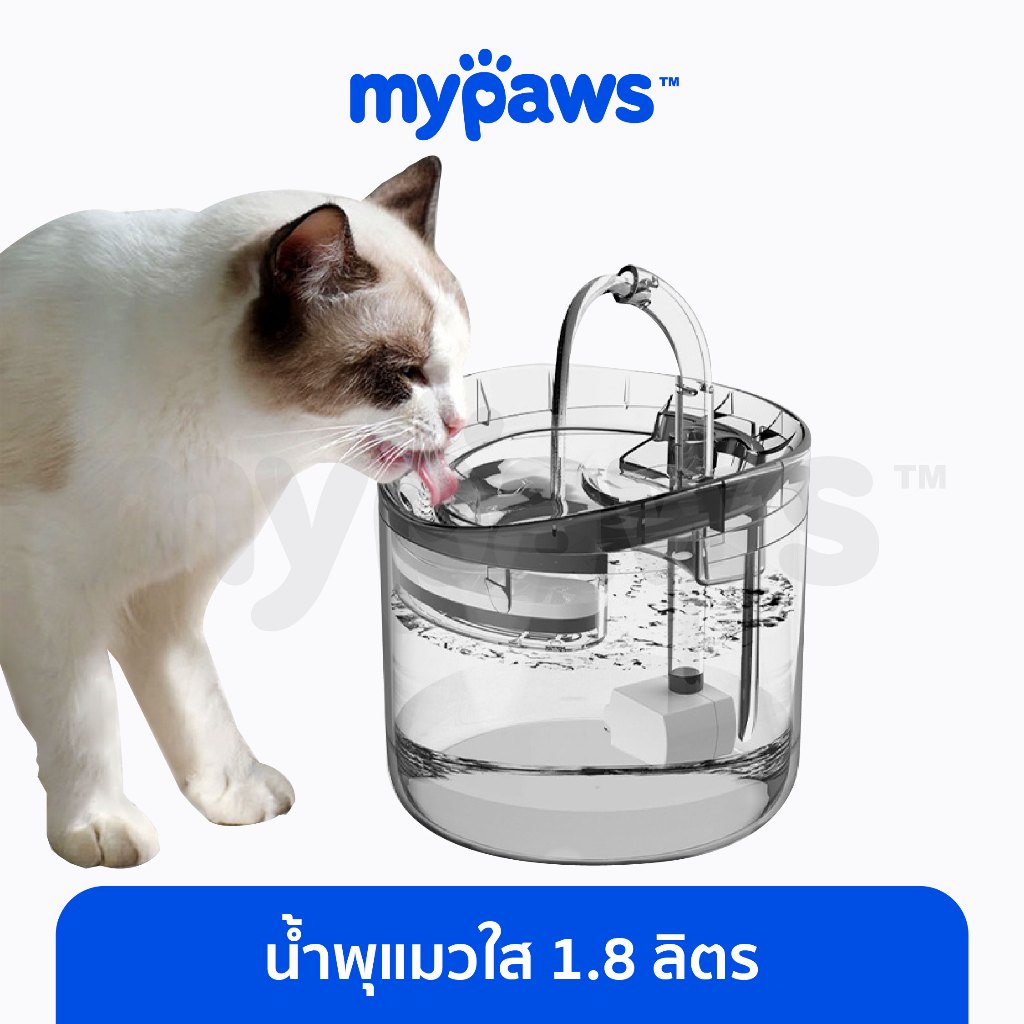 [ MYP18NV]My Paws น้ำพุแมว แบบใส 1.8 ลิตร ที่ให้น้ำสัตว์เลี้ยงอัตโนมัติ