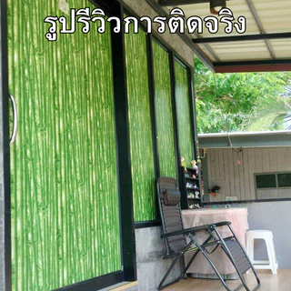 วอลเปเปอร์ติดผนัง ลายไผ่ ขนาด0.45x9-10เมตร ติดง่าย กันน้ำ มีกาวในตัว ราคาประหยัด สติกเกอร์ติดผนัง วอลเปเปอร์ติดผนังบ้าน