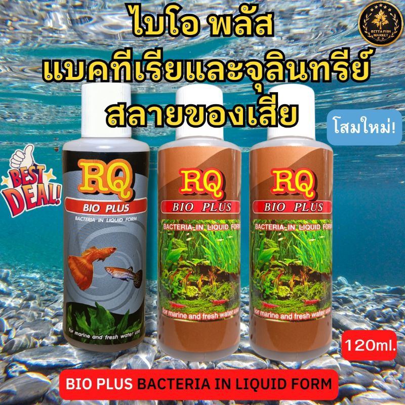 RQ BIO PLUS แบคทีเรียน้ำ สลายของเสียในน้ำ 120ml. สูตรเข้มข้น จุลินทรีย์ น้ำย่อยสลายของเสีย สิ่งสกปรกในตู้ปลา บ่อปลา