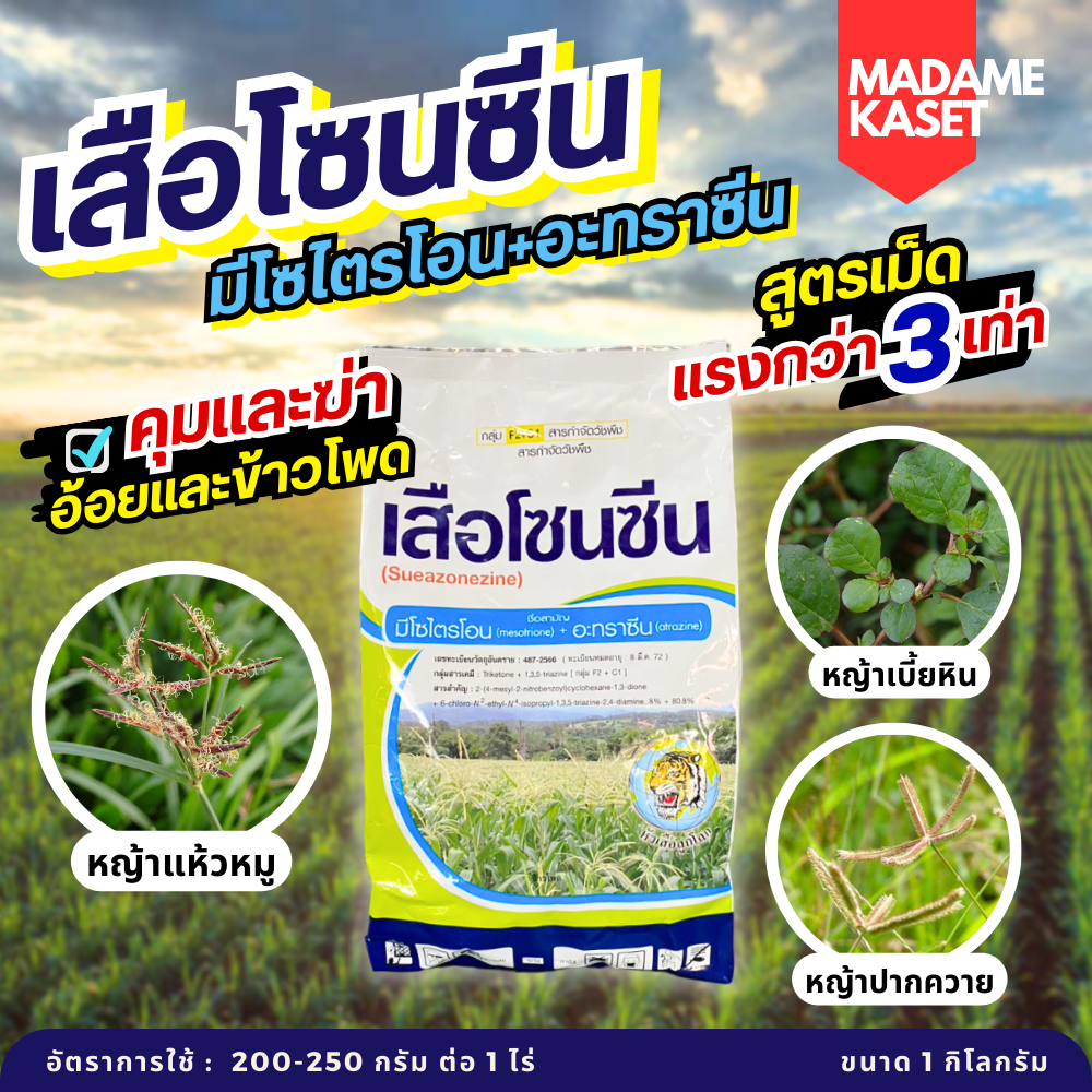เสือโซนซีน(มีโซไตรโอน 8% + อะทราซีน 80.8%) สูตรเม็ดแรงกว่า3เท่า ออกฤทธิ์ทั้งคุม+ฆ่าใช้ได้ทั้งในอ้อยและข้าวโพด 1 กิโลกรัม