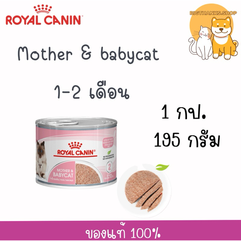 [ 1 กป.] Royal Canin Mother & BabyCat 195 กรัม อาหารกระป๋องเปียก ชนิดมูสนิ่ม สำหรับลูกแมวและแม่แมว