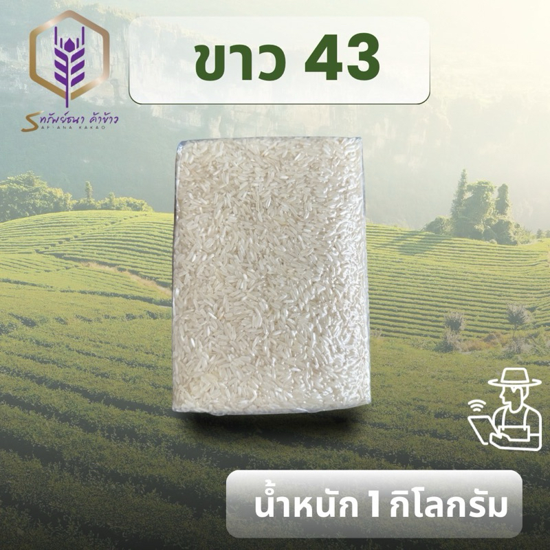 ข้าวขาวกข43แพคสูญกาศ1กิโลกรัม ตราทรัยพ์ธนา