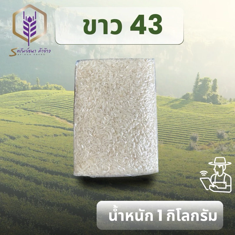 ข้าวขาวกข43แพคสูญกาศ1กิโลกรัม ตราทรัยพ์ธนา