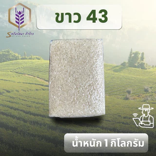 ข้าวขาวกข43แพคสูญกาศ1กิโลกรัม ตราทรัยพ์ธนา