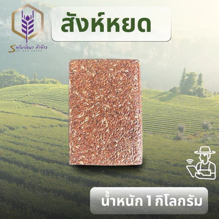 ข้าวสังหยดแพคสูญญากาศ1กิโลกรัม ตราทรัยพ์ธนา