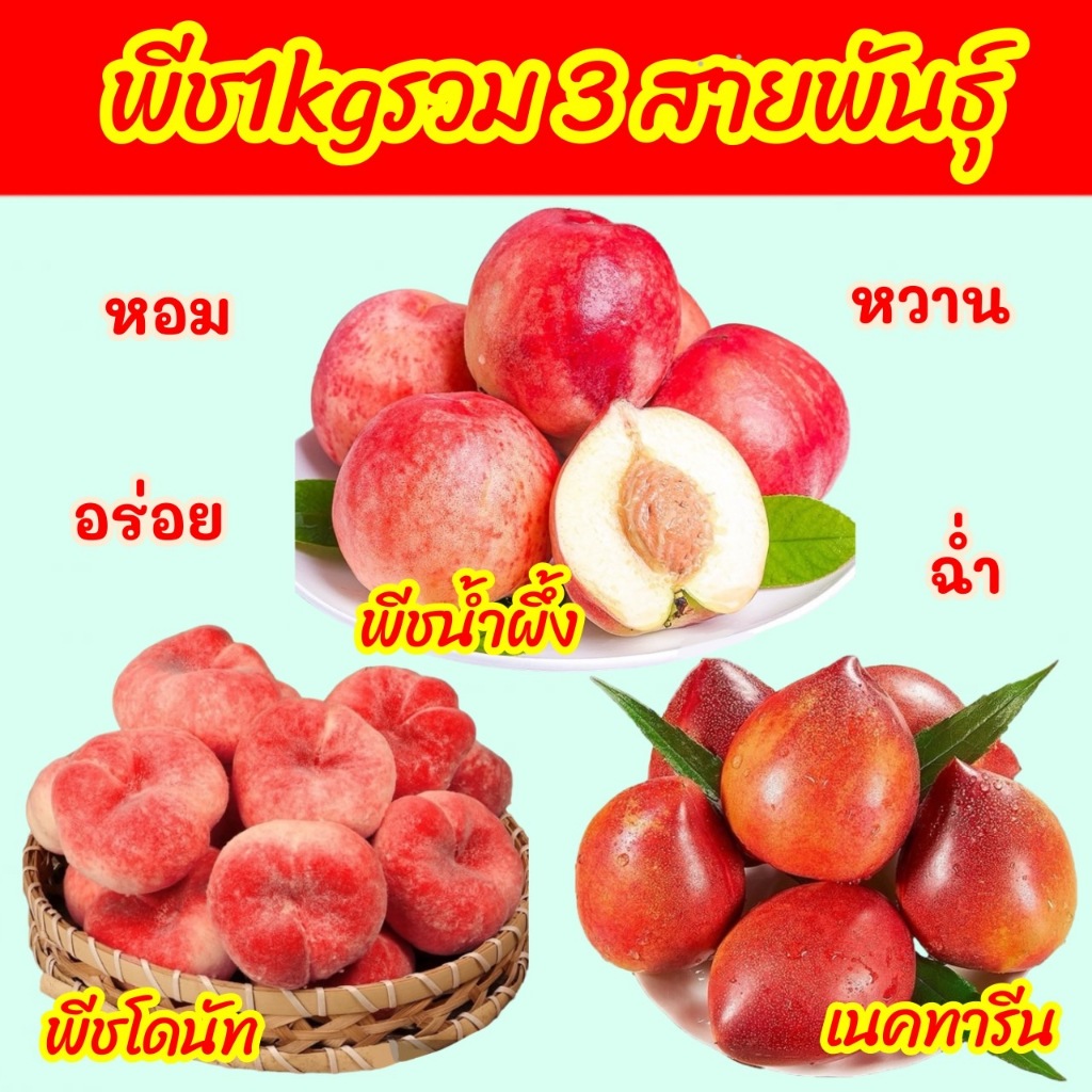 🍑พีชรวม3สายพันธุ์ (1kg)พีชน้ำผึ้ง พีชโดนัท เนคทารีน ✨