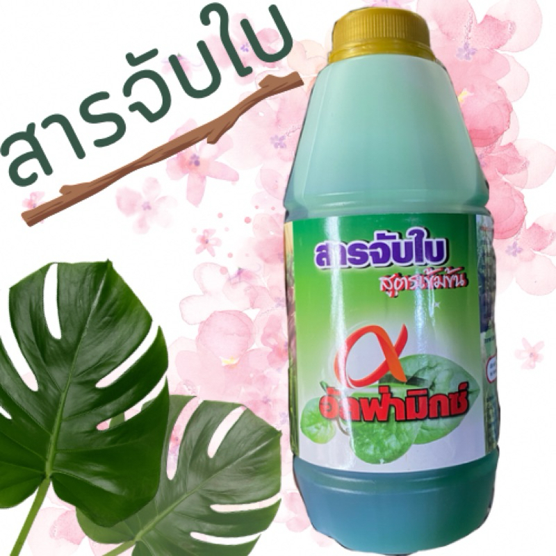 สารจับใบอัลฟ่า ใบเงา ยาติดทน ปุ๋ยติดทน 1 ลิตร