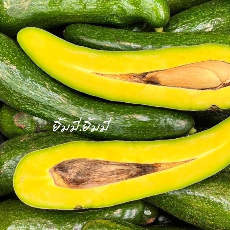 [ 3 ก.ก. ]อะโวคาโด้ 034 (พันธุ์นี้ให้ผลยาว เนื้อดี เนียว มัน) ( ไม่รวมน้ำหนักบรรจุภัณฑ์) 🥑🥑