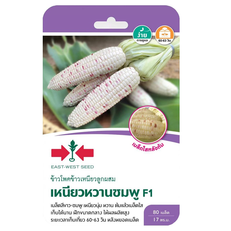เมล็ดข้าวโพดข้าวเหนียวหวานชมพู