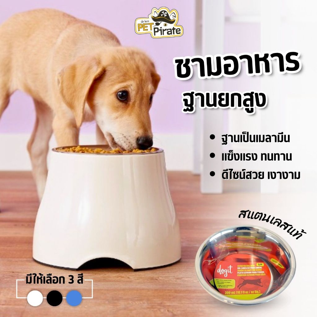 Dogit ชามอาหารสุนัข ฐานเมลามีนยกสูง แข็งแรง ชามสแตนเลสแท้ ไม่สะสมเชื้อโรค ถอดล้างได้ ไซซ์ L 3 สี