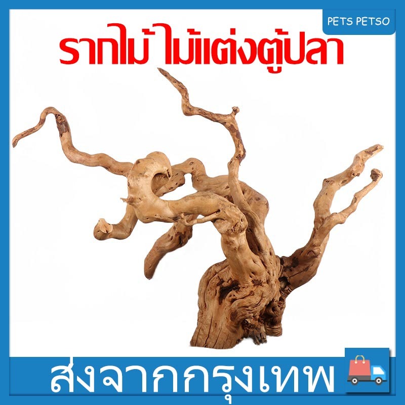 รากไม้ กอไม้ เกล็ดปลาหมอ ขอนไม้ ตกแต่งตู้ปลา 25-30cm ปลอดภัย100％