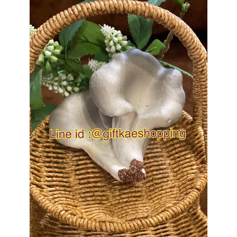 เห็ดนางฟ้าปลอม โมเดลเห็ดนางฟ้า (3 ใบ) วัสดุผลิตจากยาง จับแล้วนิ่ม - รูปที่ 5