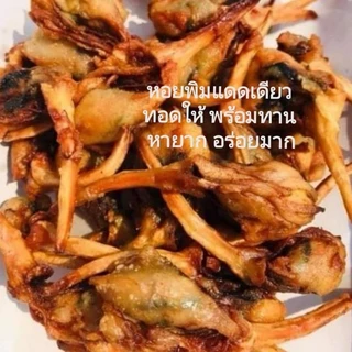 หอยพิม​แดดเดียว​ ทอดพร้อมทาน​ 500 กรัม ตัวใหญ่​มาก​(ชั่งน้ำหนักก่อนทอด​ ทอดแล้วน้ำหนักจะลดลง) หอยพิมแท้​ อร่อย​