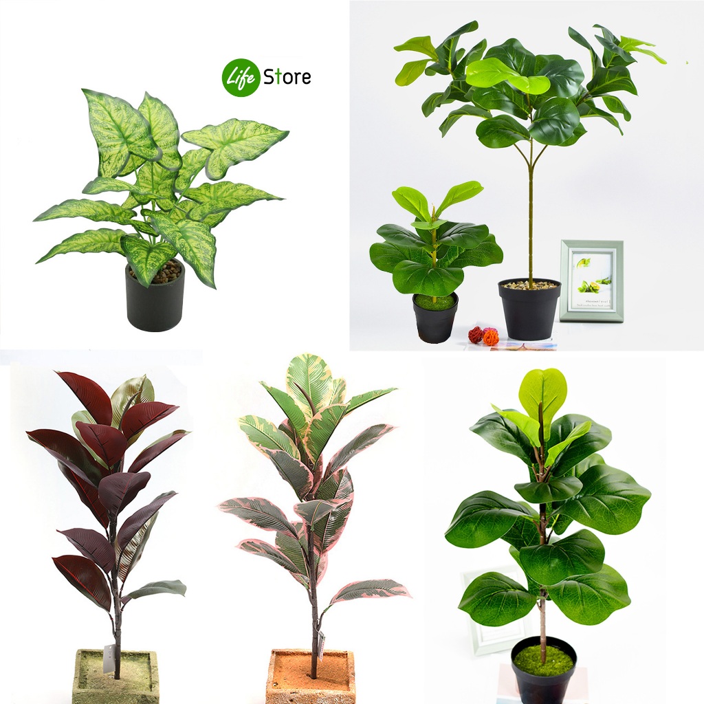 ต้นไม้ประดับ ไทรใบสัก ยางอินเดีย ต้นไม้ประดิษฐ์ สวยงามเสมือนจริง (ไม่รวมกระถาง)พร้อมส่งในไทย ถึงเร็วทันใจ