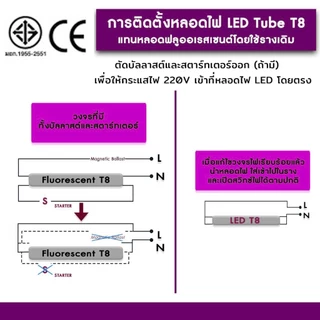 ชุด 30 หลอด หลอดไฟ LED T8 10W 20W 60cm 22W, 32W, 50W 120cm แพนจัง แสงสีขาว Daylight 6500K