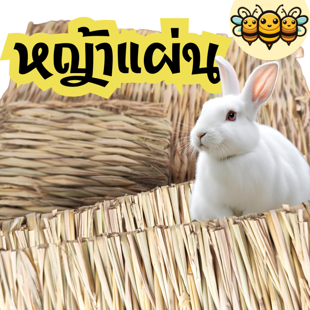 3B หญ้าแผ่นรองกรง รองกรงกระต่าย แผ่นหญ้ารองกรง