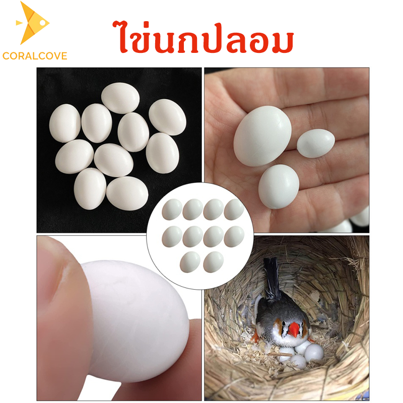 coralcoveshop ไข่เทียม ไข่นกปลอม ไข่นกแก้ว กระต้นนกแก้วฟักไข่ พลาสติก สีขาว ใช้สำหรับทดแทนไข่จริง