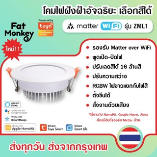 Zemismart Matter WiFi Smart Dwonlight รุ่น ZML1 9W, 12W, 15W โคมไฟฝังฝ้า ปรับสีได้ 16 ล้านสี