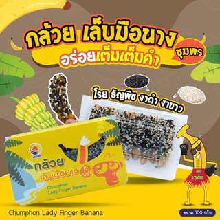 กล้วยเล็บมือนางชุมพร อบแห้ง เคลือบ ช็อคโกแลต เม็ดมะม่วงหิมพานต์ กล้วยสติ๊ก กล้วยตาก กล้วยอบ สตอเบอรี่ โกโก้ โอริโอ้