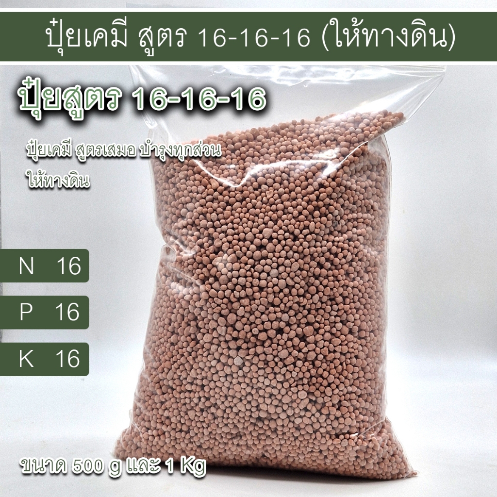 ปุ๋ยสูตร 16-16-16 ปุ๋ยสูตรเสมอ ปุ๋ยสูตรบำรุงพืชทุกส่วน ปุ๋ยสูตร 16-16-16 พีระมิดเอส