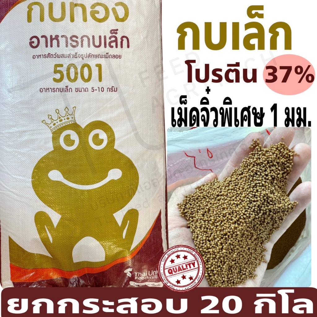 อาหารกบ กบเล็ก ตรากบทอง โปรตีนสูง 37% ( 5001 เม็ดจิ๋ว 1 มม . ) >> ยกกระสอบ 20 kg. <<