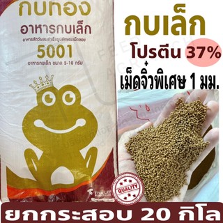 อาหารกบ กบเล็ก ตรากบทอง โปรตีนสูง 37% ( 5001 เม็ดจิ๋ว 1 มม . ) >> ยกกระสอบ 20 kg. <<