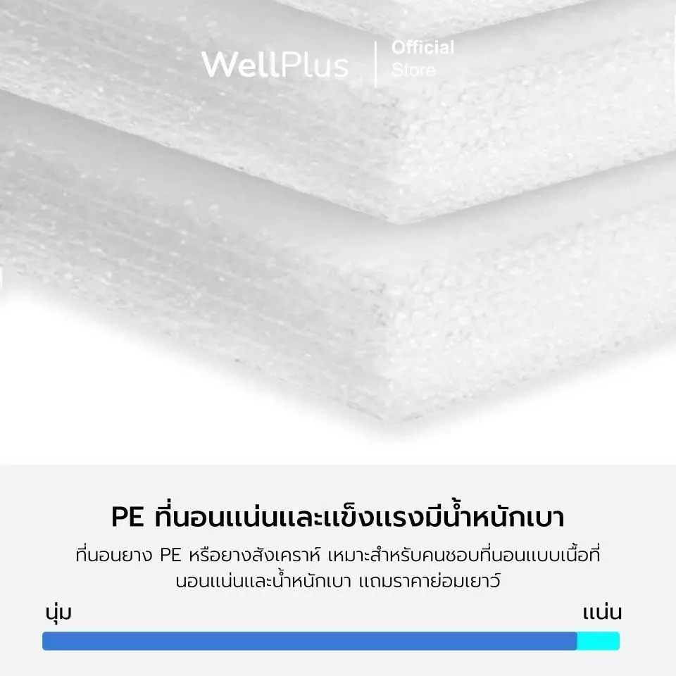 WellPlus ที่นอนยางพาราแท้ รุ่น Pollux ขนาด 3 3.5 5 6 ฟุต thumbnail 6