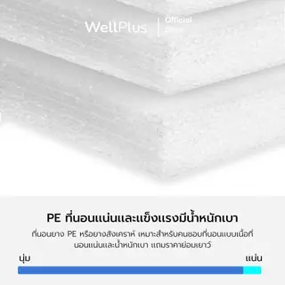 WellPlus ที่นอนยางพาราแท้ สัมผัสแน่นแข็ง รุ่น Pollux รองรับสรีระได้ดี ลดสาเหตุของการปวดหลัง ขนาด 3 3.5 ฟุต 5 ฟุต 6 ฟุต