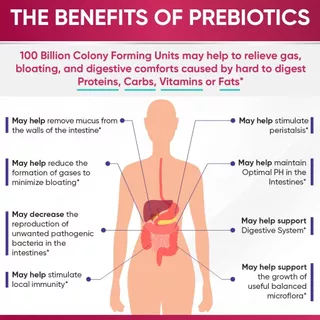 Wholesome Wellness Women’s Raw Probiotic 100Billion CFU โพรไบโอติก สำหรับผู้หญิง 60cap