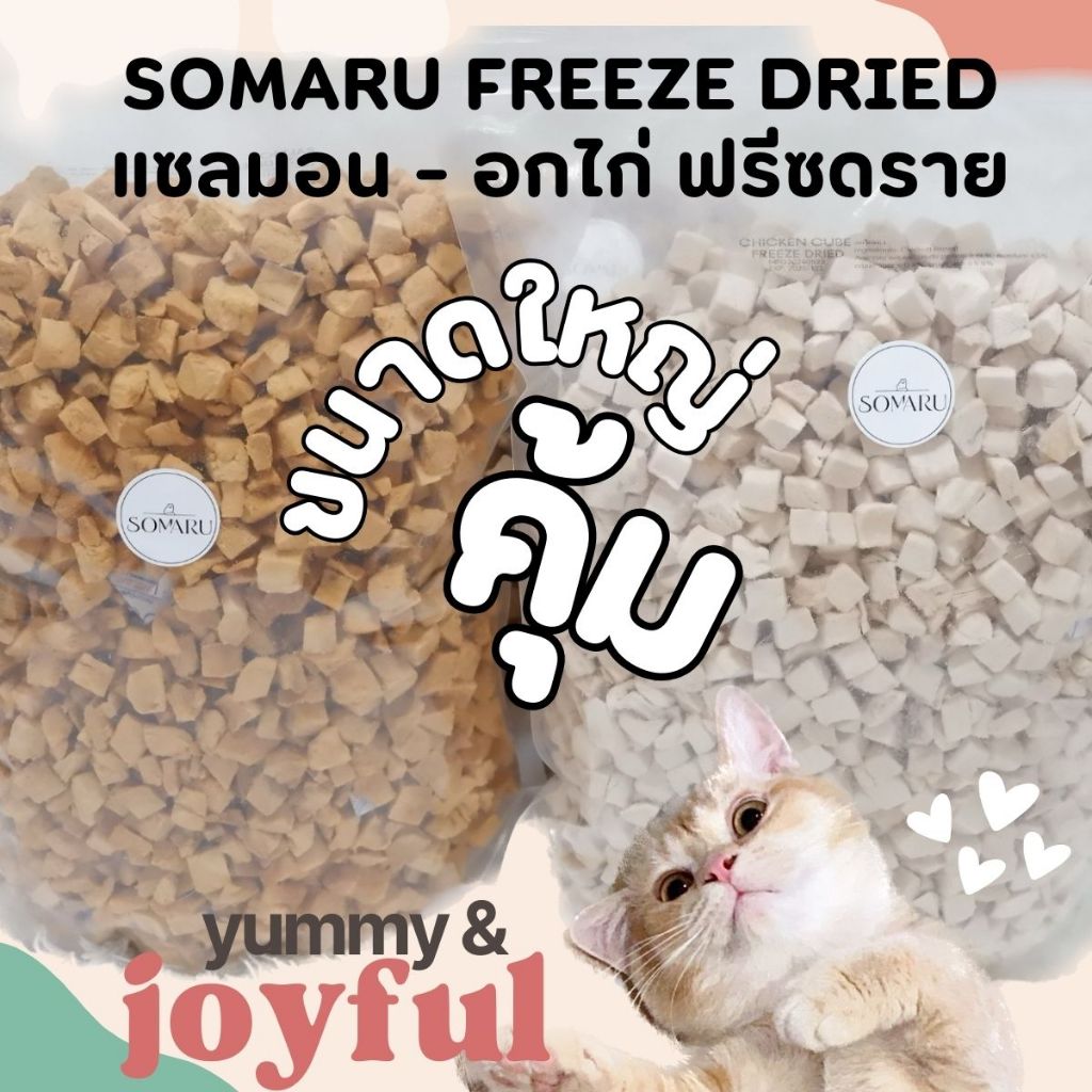 ขนาดใหญ่ 500 ก. ขนมฟรีซดราย อกไก่ฟรีซดราย อกไก่เต๋า - Somaru โซมารุ อกไก่ฟรีซดราย แซลมอนฟรีซดราย ตับไก่ฟรีซดราย