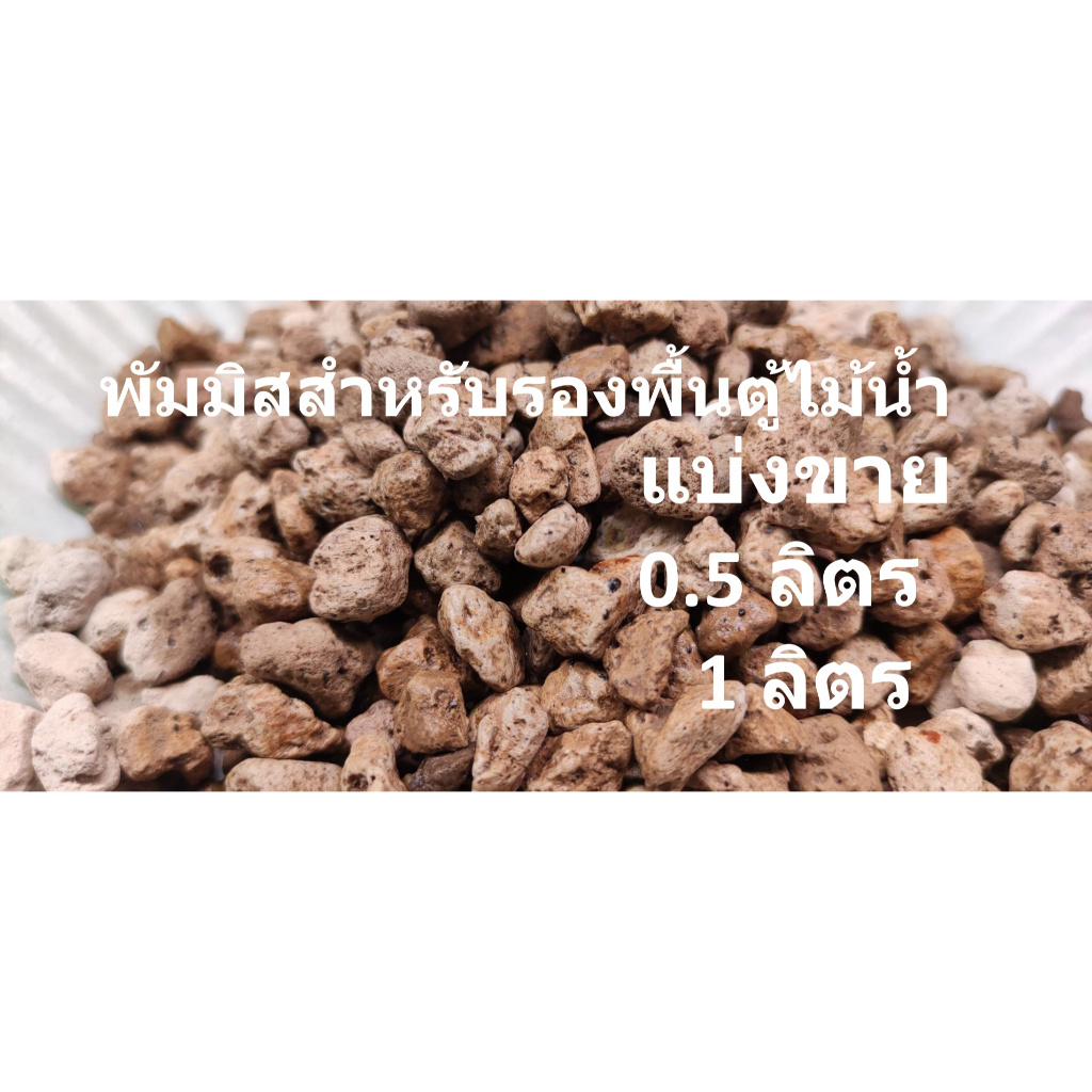 พัมมิส หินภูเขาไฟ สำหรับรองพื้นตู้ไม้น้ำให้เป็นที่อยู่ของแบคทีเรีย ร้าน ปาร์ค ไม้น้ำ พร้อมส่ง