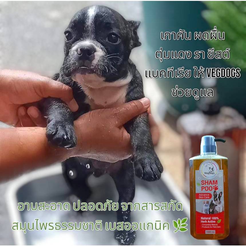 แชมพูสุนัข แมว VegDogs สูตร 1 แอ๊ดวานซ์สกินแคร์ ขนาด 1ลิตร สูตรเริ่มต้นในการดูแลผิวและขน