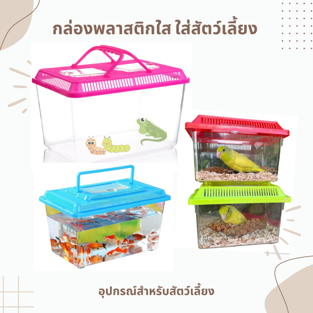 กล่องใส่สัตว์เลี้ยงพร้อมฝา กล่องพลาสติกใสใส่สัตว์  พกพาขนาดเล็ก
